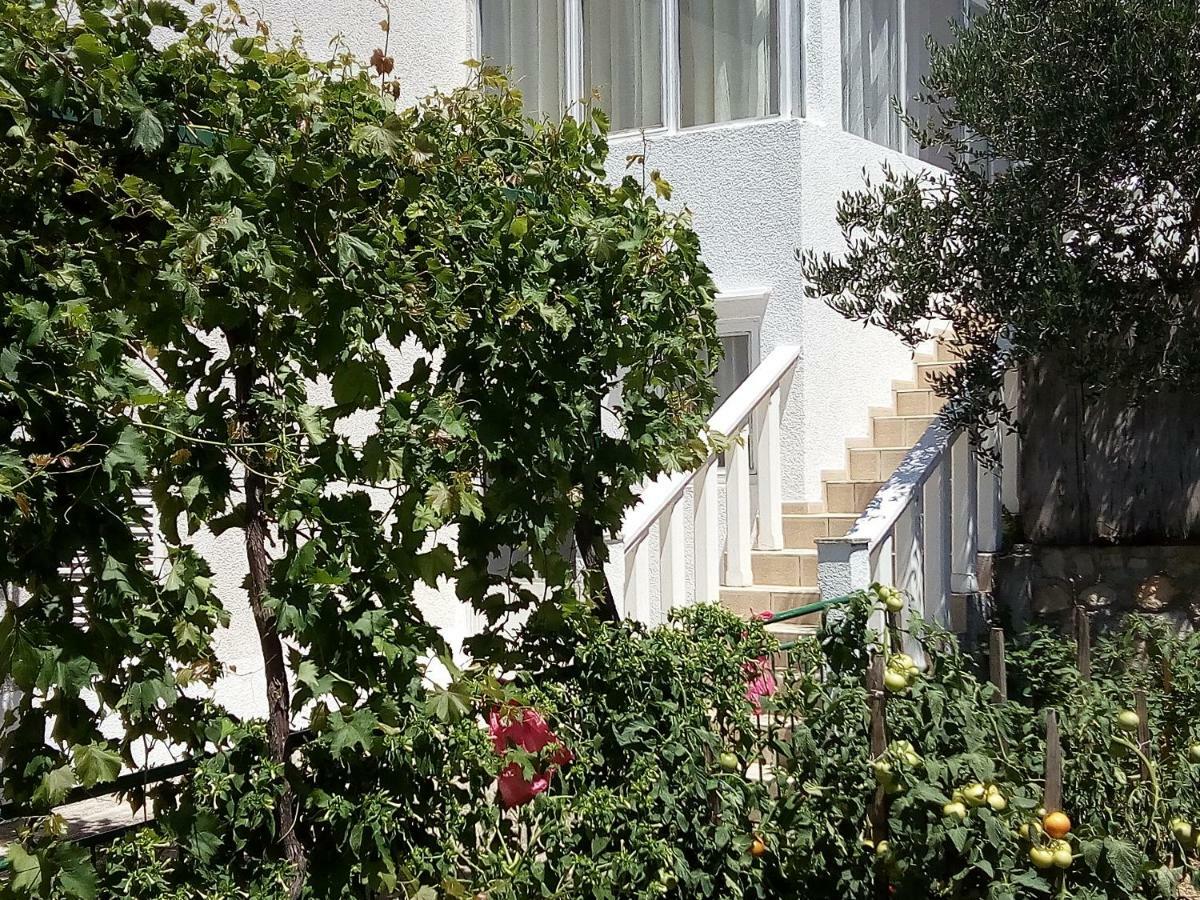 Apartmani Mileta Apartment